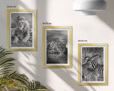 Komplet slika u okviru Divlje životinje savane: lav, jaguar i zebra