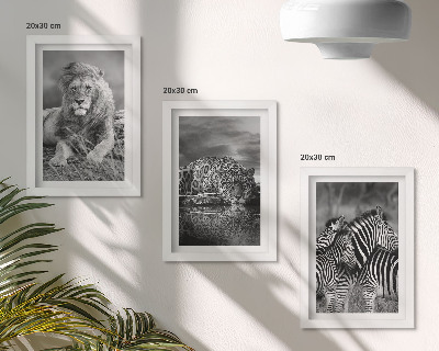 Komplet slika u okviru Divlje životinje savane: lav, jaguar i zebra