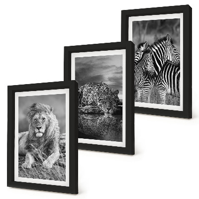 Komplet slika u okviru Divlje životinje savane: lav, jaguar i zebra