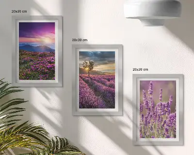 Krajolik s poljima lavande i zalaskom sunca set od 3 slike u okviru