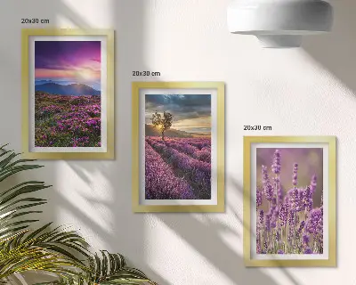 Krajolik s poljima lavande i zalaskom sunca set od 3 slike u okviru