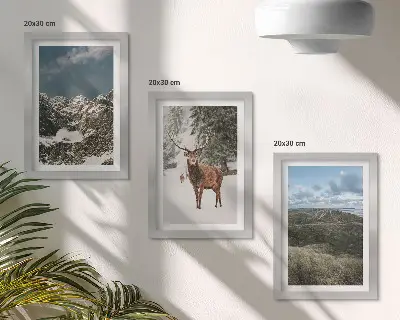 Komplet slika u okviru planine sa snijegom, jeleni u šumi i krajolici