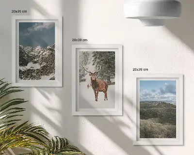 Komplet slika u okviru planine sa snijegom, jeleni u šumi i krajolici