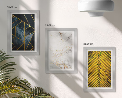 Set 3 slike u okviru Moderni geometrijski uzorci i prirodni biljni motivi