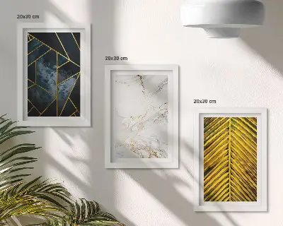 Set 3 slike u okviru s modernim geometrijskim uzorcima i prirodnim biljnim motivima
