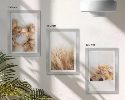 Zidna galerija slika slatke životinje s motivima mačaka i pasa u boho stilu na nježnoj travi