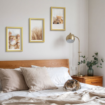Zidna galerija slika Slatke životinje mačke psi nježna trava boho