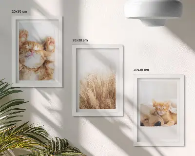 Zidna galerija slika slatke životinje s motivima mačaka i pasa u boho stilu na nježnoj travi