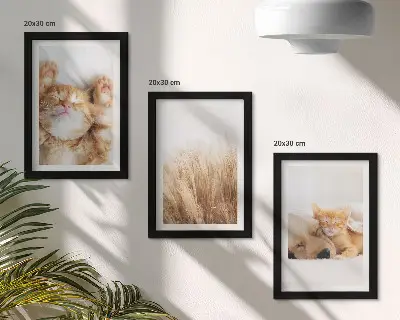 Zidna galerija slika slatke životinje s motivima mačaka i pasa u boho stilu na nježnoj travi