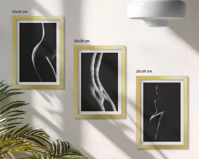 Set od 3 slike u okviru crno-bijele ženske erotske siluete