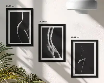 Set od 3 slike u okviru crno-bijele ženske erotske siluete