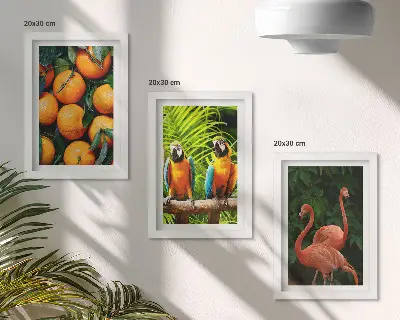Zidna galerija slika voćni akcenti s papigama i flamingosima u tropskom stilu