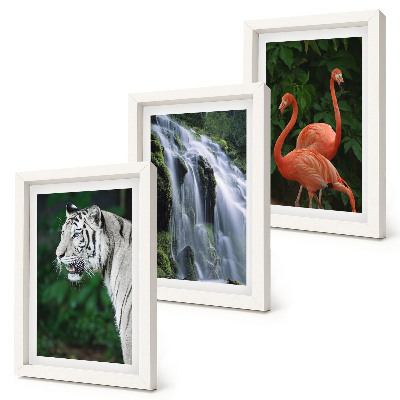 Set 3 slike u okviru Tigrovi vodopad i ružičasti flamingosi u prirodi
