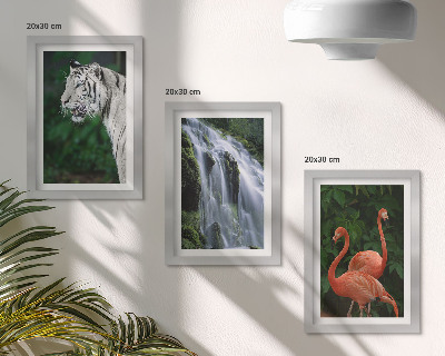 Set 3 slike u okviru Tigrovi vodopad i ružičasti flamingosi u prirodi
