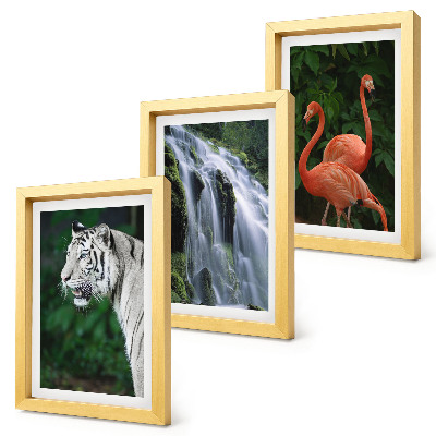 Set 3 slike u okviru Tigrovi vodopad i ružičasti flamingosi u prirodi