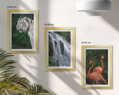 Set 3 slike u okviru Tigrovi vodopad i ružičasti flamingosi u prirodi