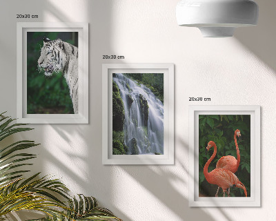 Set 3 slike u okviru Tigrovi vodopad i ružičasti flamingosi u prirodi