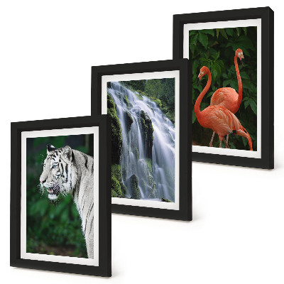 Set 3 slike u okviru Tigrovi vodopad i ružičasti flamingosi u prirodi