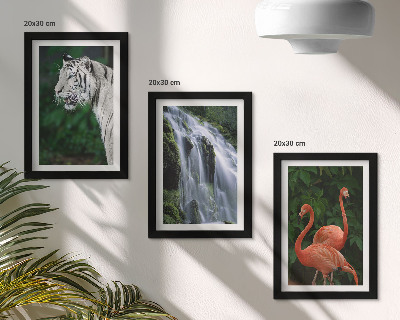 Set 3 slike u okviru Tigrovi vodopad i ružičasti flamingosi u prirodi