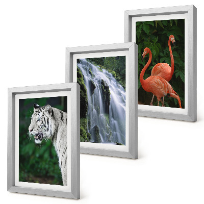 Set 3 slike u okviru Tigrovi vodopad i ružičasti flamingosi u prirodi