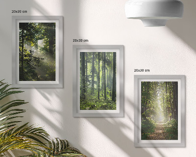 Zidna galerija slika Zelene šume sa zrakama svjetlosti i šumskom stazom