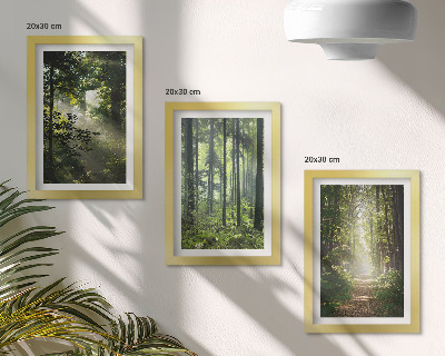 Zidna galerija slika Zelene šume sa zrakama svjetlosti i šumskom stazom