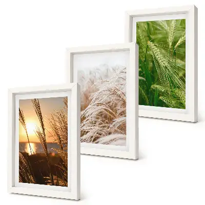 Set 3 slike u okviru šarena priroda s motivom različitih vrsta trave