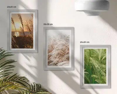 Set 3 slike u okviru šarena priroda s motivom različitih vrsta trave