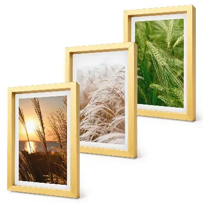 Set 3 slike u okviru šarena priroda s motivom različitih vrsta trave