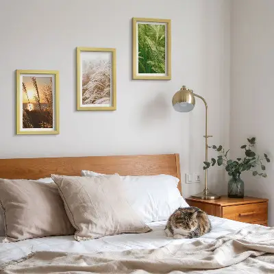 Set 3 slike u okviru šarena priroda s motivom različitih vrsta trave