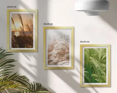 Set 3 slike u okviru šarena priroda s motivom različitih vrsta trave