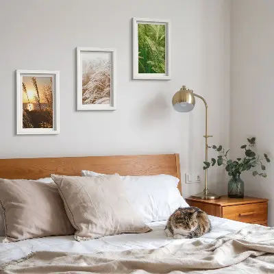 Set 3 slike u okviru šarena priroda s motivom različitih vrsta trave