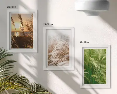 Set 3 slike u okviru šarena priroda s motivom različitih vrsta trave