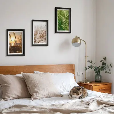 Set 3 slike u okviru šarena priroda s motivom različitih vrsta trave