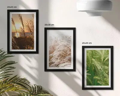 Set 3 slike u okviru šarena priroda s motivom različitih vrsta trave