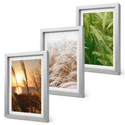 Set 3 slike u okviru šarena priroda s motivom različitih vrsta trave