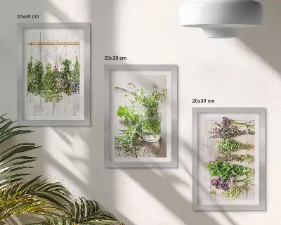 Zidna galerija slika za sušenje začinskog bilja i kuhinjskih biljaka