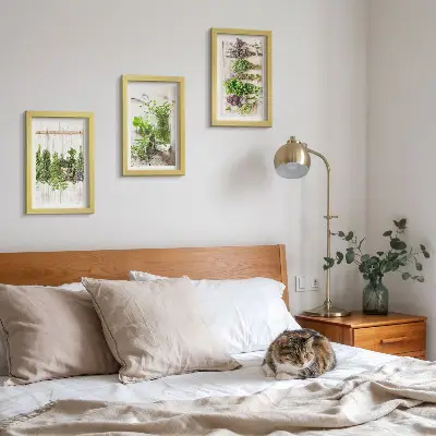 Zidna galerija slika za sušenje začinskog bilja i kuhinjskih biljaka