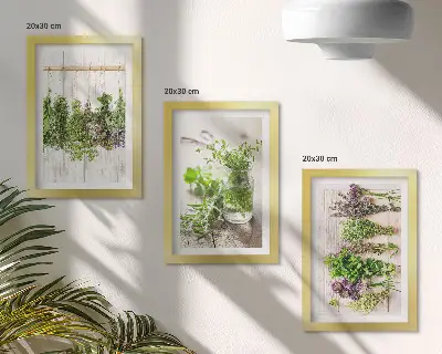 Zidna galerija slika za sušenje začinskog bilja i kuhinjskih biljaka