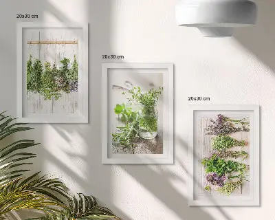 Zidna galerija slika za sušenje začinskog bilja i kuhinjskih biljaka