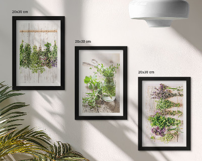 Zidna galerija slika Sušenje začinskog bilja i biljaka za kuhinju