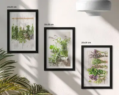 Zidna galerija slika za sušenje začinskog bilja i kuhinjskih biljaka