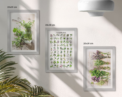 Set 3 slike u okviru Sušene biljke za popis kuhinjskog bilja