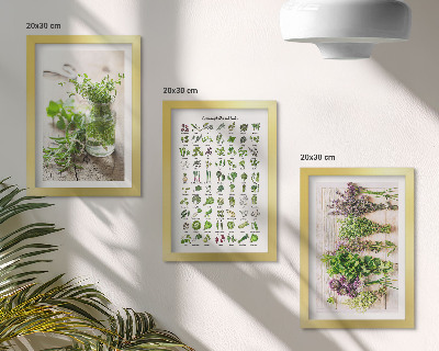 Set 3 slike u okviru Sušene biljke za popis kuhinjskog bilja