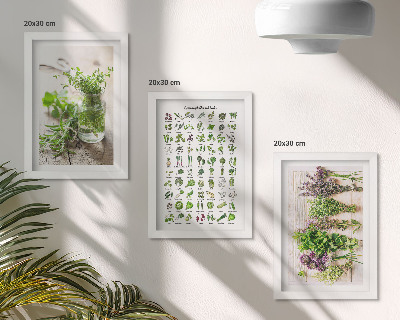 Set 3 slike u okviru Sušene biljke za popis kuhinjskog bilja