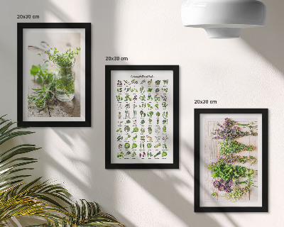 Set 3 slike u okviru Sušene biljke za popis kuhinjskog bilja