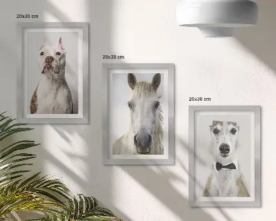 Komplet slika u okviru zanimljivi portreti pasa i konja u elegantnom stilu