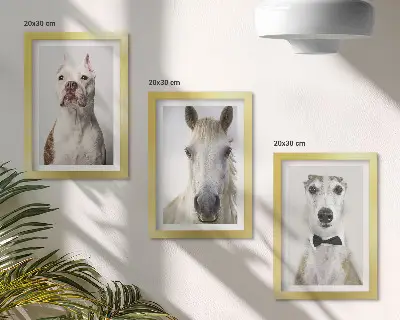 Komplet slika u okviru zanimljivi portreti pasa i konja u elegantnom stilu