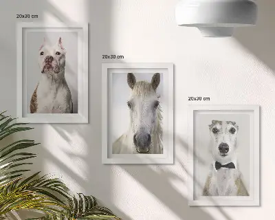 Komplet slika u okviru zanimljivi portreti pasa i konja u elegantnom stilu