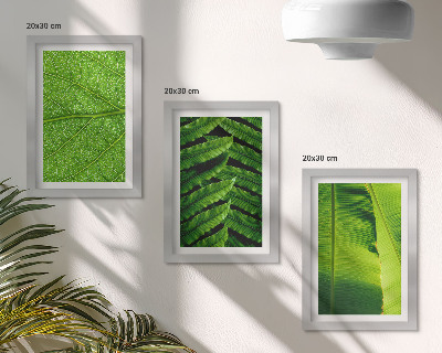 Zidna galerija slika Krupni planovi tropskog lišća